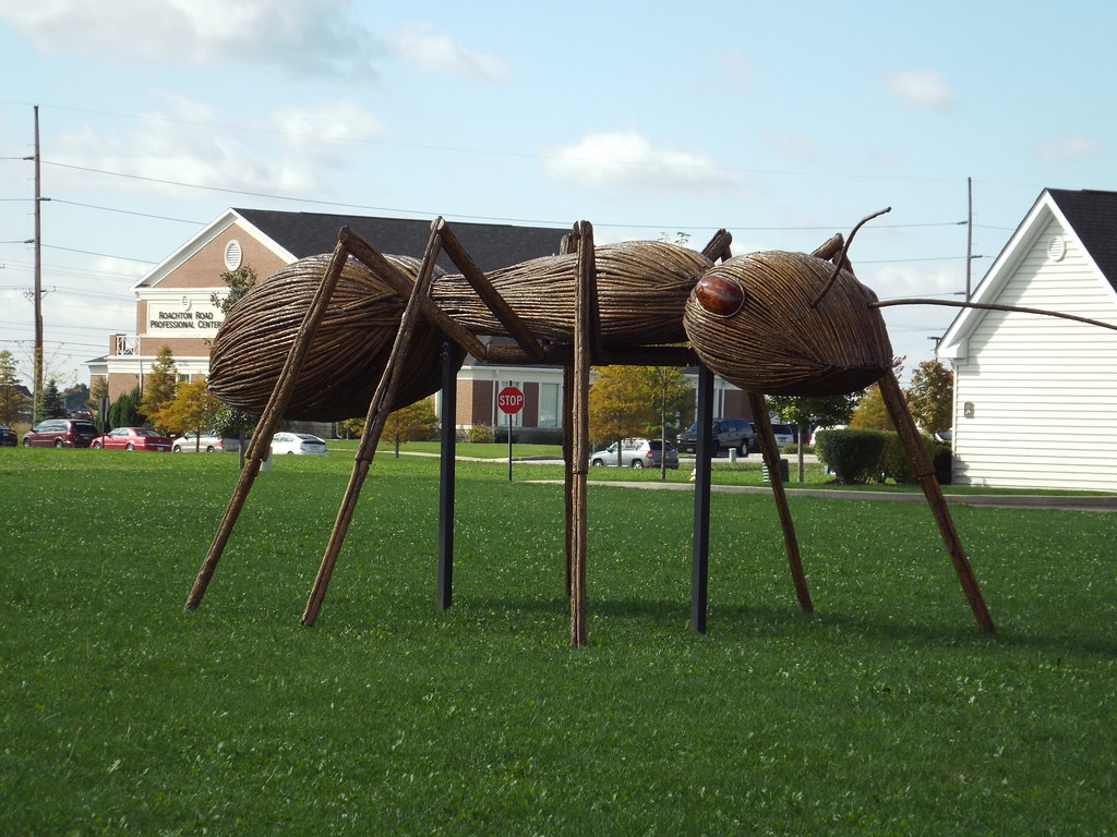 Giant Insect Sculptures at Levis Commons Vicki Timman Flickr