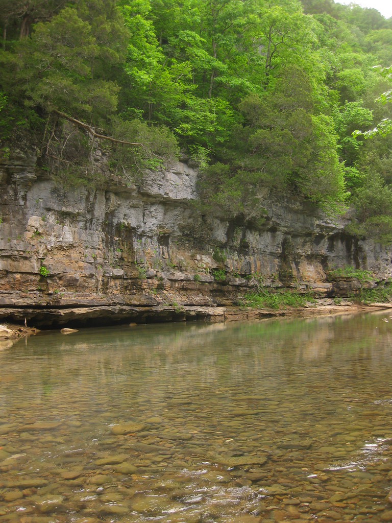 East Fork Obey River Area Flickr