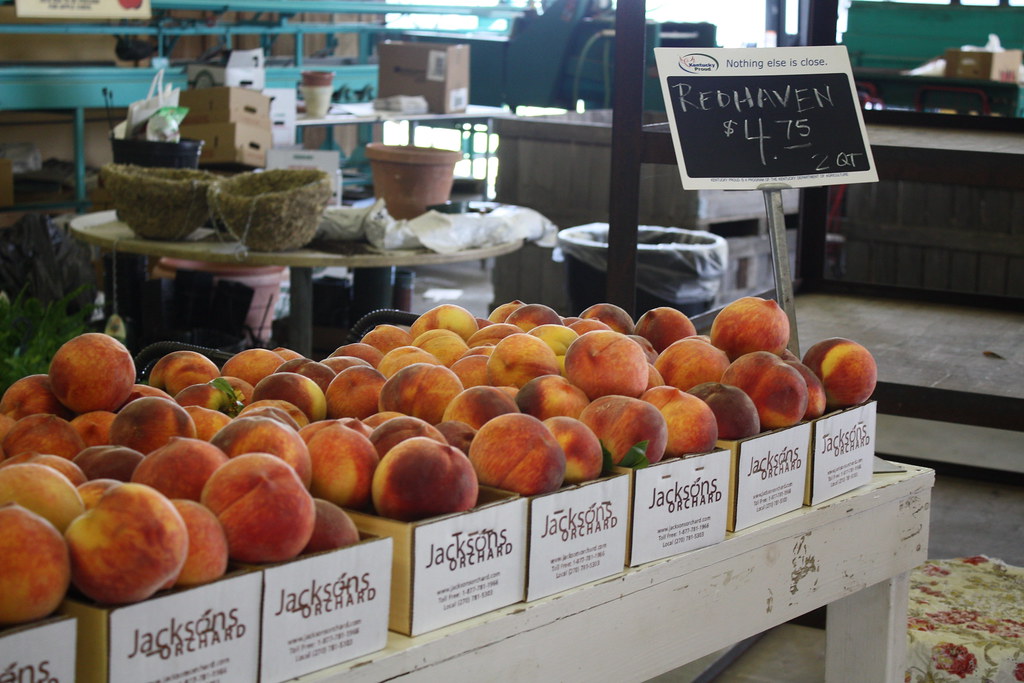 Peach Jackson's Orchard Peaches Jackson's Orchard Flickr