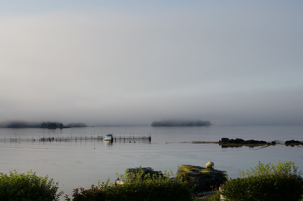 morning fog, Back Bay, New Brunswick 1 Katie Yaeger Rotramel Flickr
