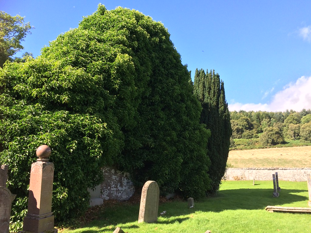 Kilmuir kirkyard, Black Isle A cycle over the Kessock Brid… Flickr