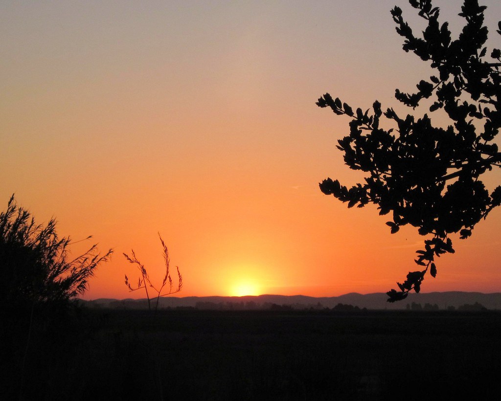 Northgate, Lake Herman Rd, Benicia, CA, USA Sonnenaufgang