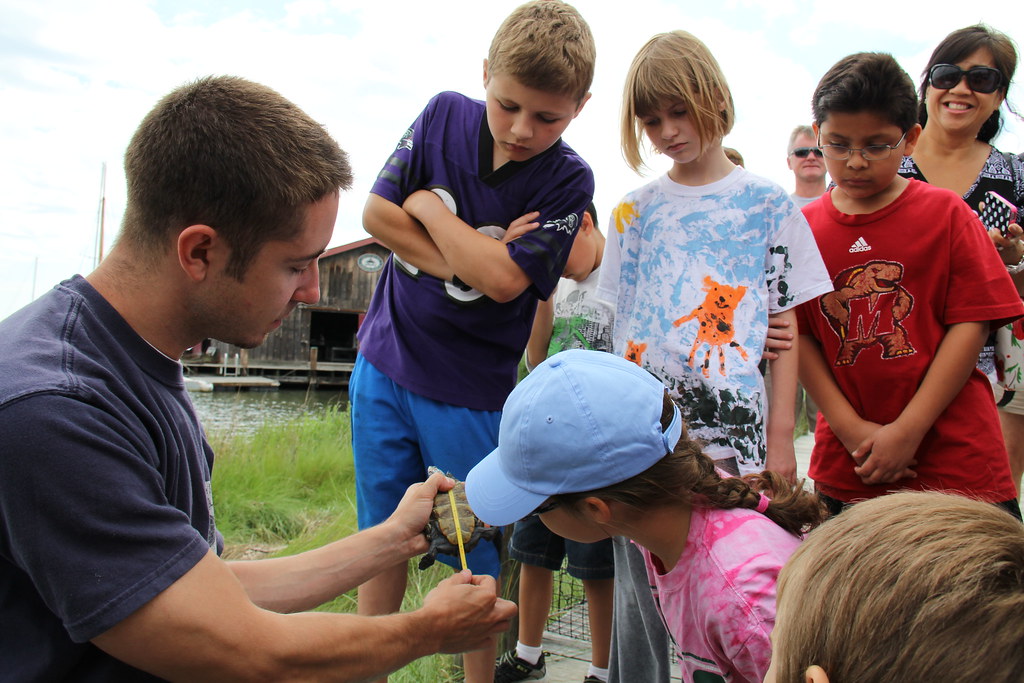 IMG_0090 Triadelphia Ridge Elementary School fourth grade … Flickr