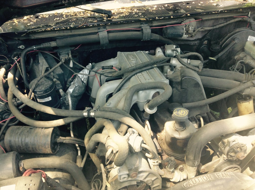 94 Ford F-150 4x4 | jmattson72 | Flickr