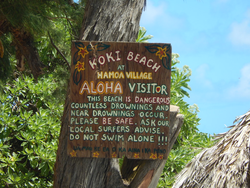 Koki Beach on the Road To Hana Maui (2) Larry Flickr