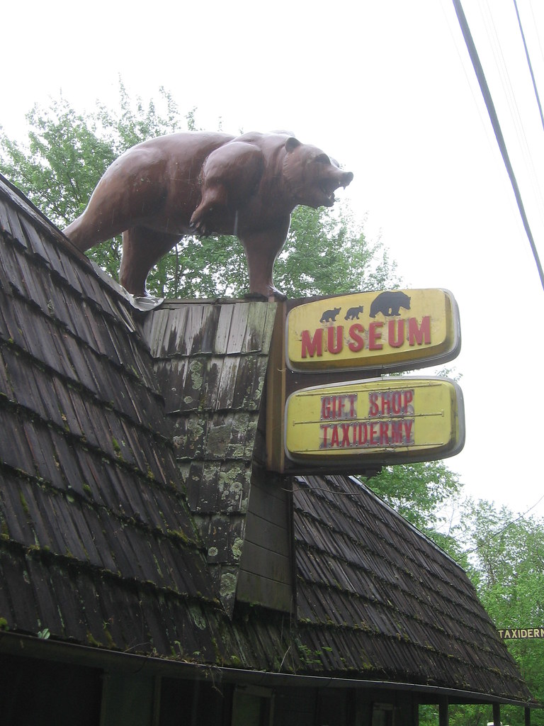 Bluestone Museum & Taxidermy (Hinton, WV) This touristtra… Flickr