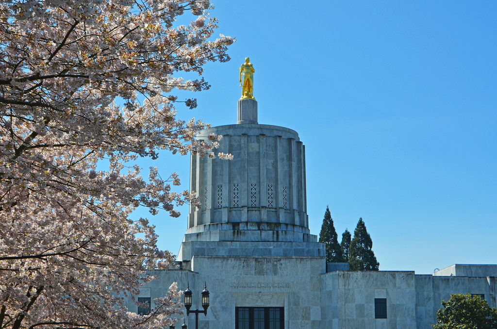 Salem Oregon Cherry Blossoms Salem Oregon April 2012 Flickr