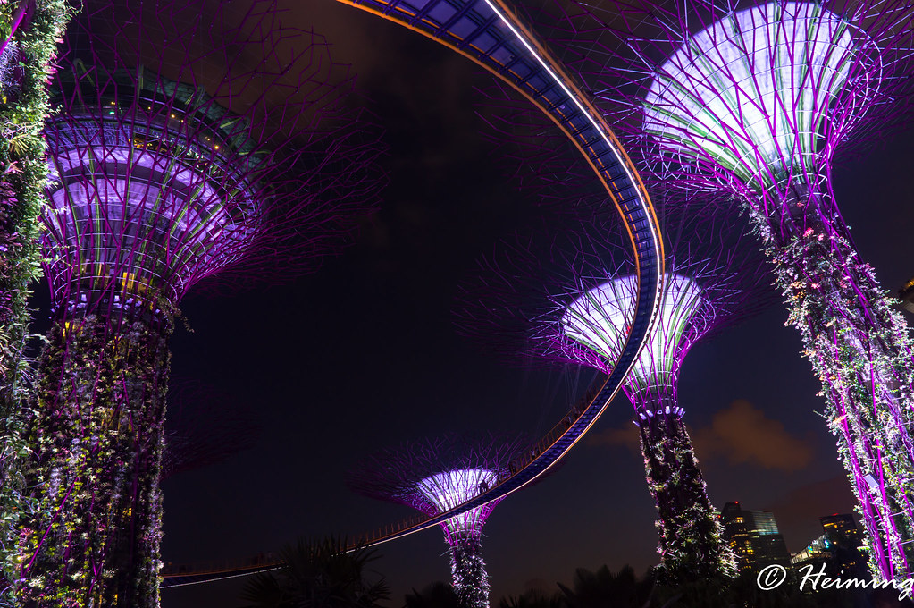DSC05162 Singapore Sky Tree Heiming Flickr
