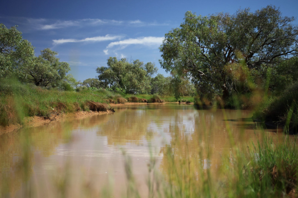 Millers Creek Curdnatta Photographers theme "Reflections" … Flickr