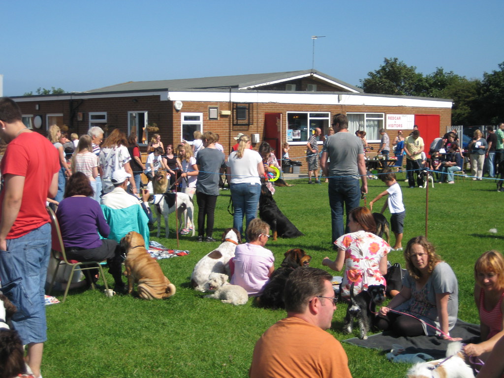 Save Our Strays Dog Show Redcar Rugby Club 26 August 2013 Flickr