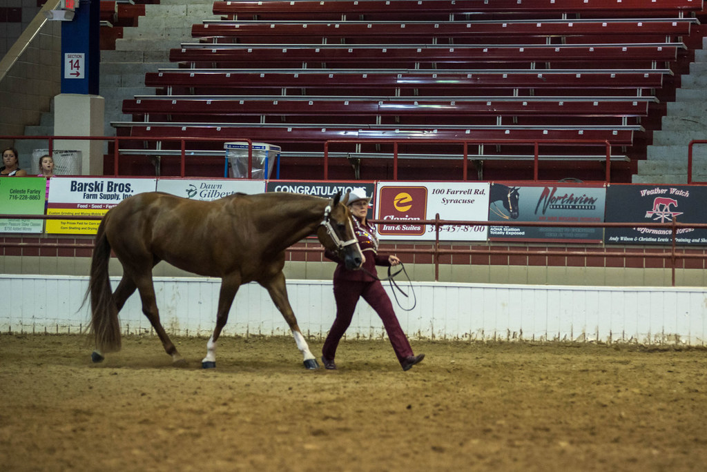 Showmanship Empire Quarter Horse Show 91913 Cyndi Raulli Flickr