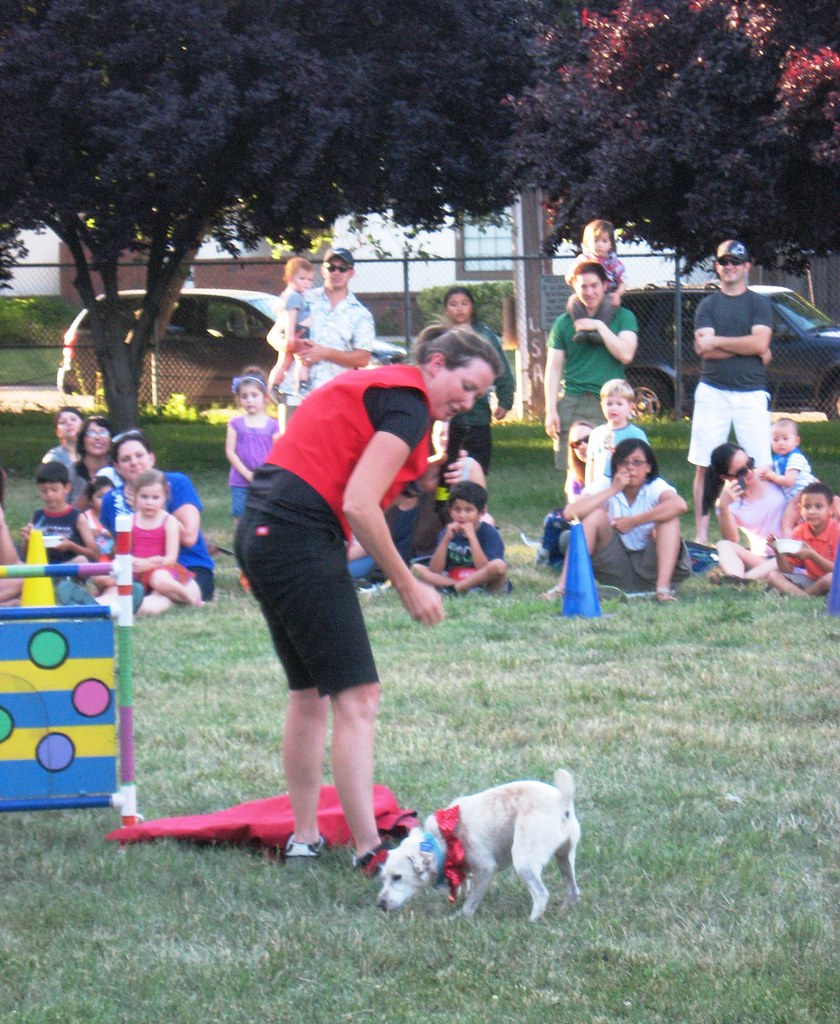 Checking out the "stage" 5/31/13 Busy Bee Dogs at the 15t… Flickr