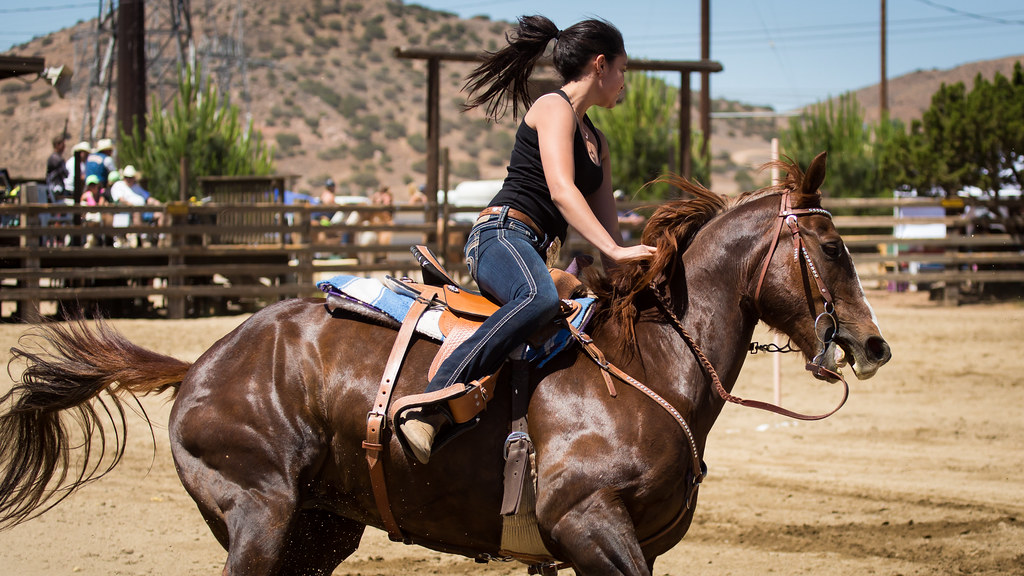 Kaylie..... Acton Rangers Gymkhana Schooner Darrow Flickr