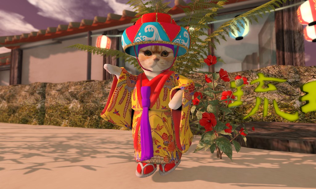 JAPANESE CAT DANCER by ましろ (lllmasirolll) Event of Okinawa… Flickr