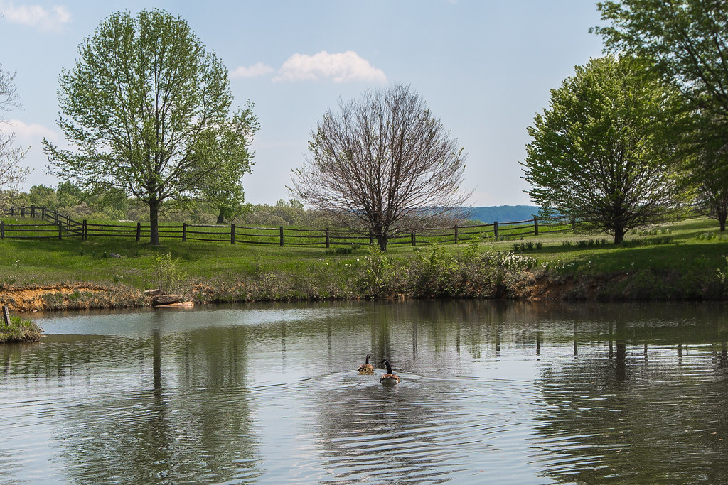 Oakendale FarmPond 1038 Bryan Vaughan Flickr