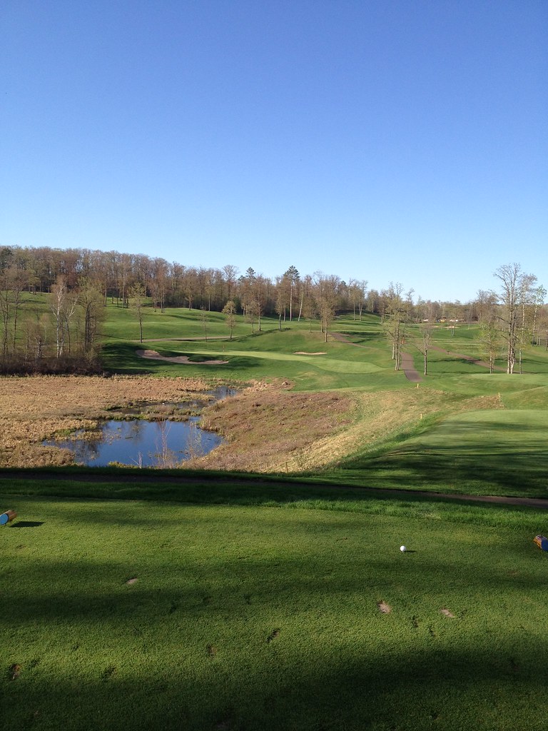 Golden Eagle, Fifty Lakes, MN curlyjw Flickr