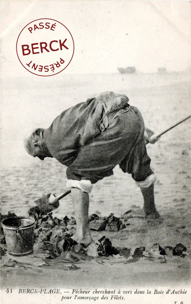 Pêcheur cherchant à vers dans la baie d'Authie pour l'amor… Flickr