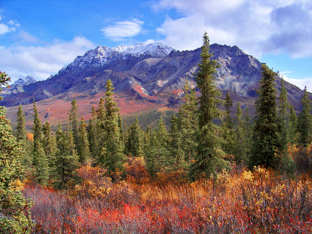 Anderson Mountain Alaska interior September 2008 Apple_Scruff74