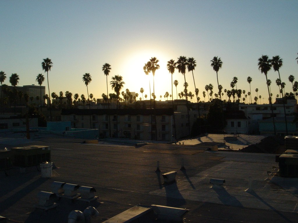 200511 Catalina Gardens (15) Michael Sevon Flickr