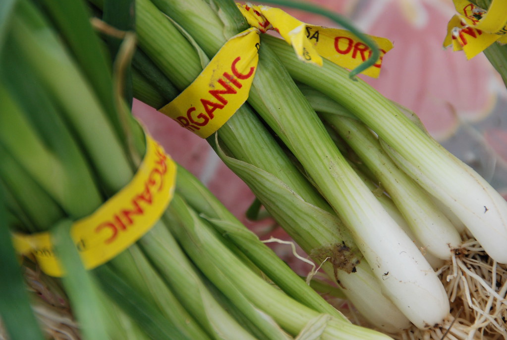 What's Fresh at the Market Scallions fiveriversmetroparks Flickr