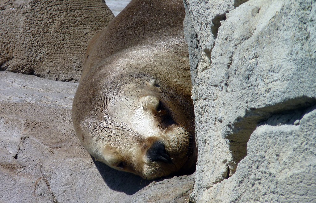 Zoo am Meer, Bremerhaven >sunshine