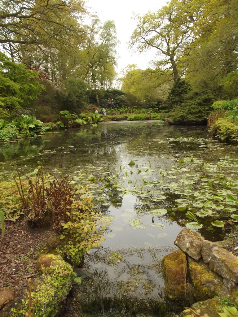 Water Garden Hall Gardens water lilies A visit … Flickr