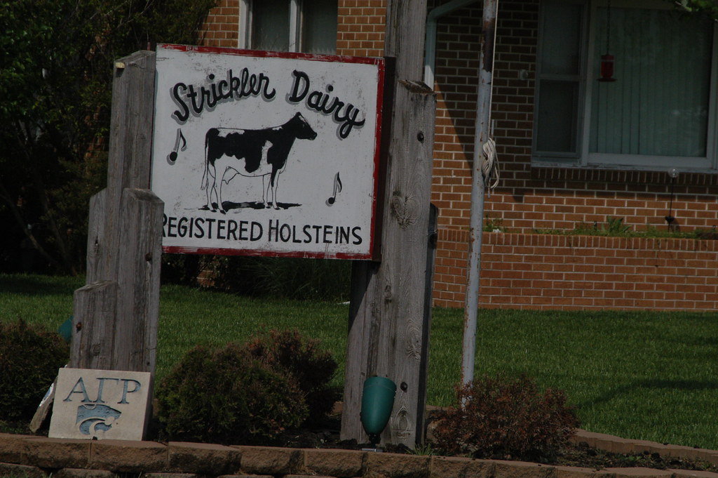 Iola Dairy SwissEd Flickr