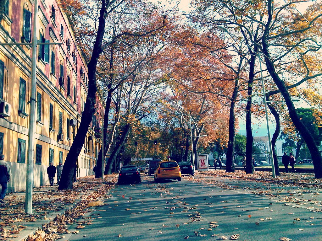 autumn in tirana.. kiddo2010 Flickr