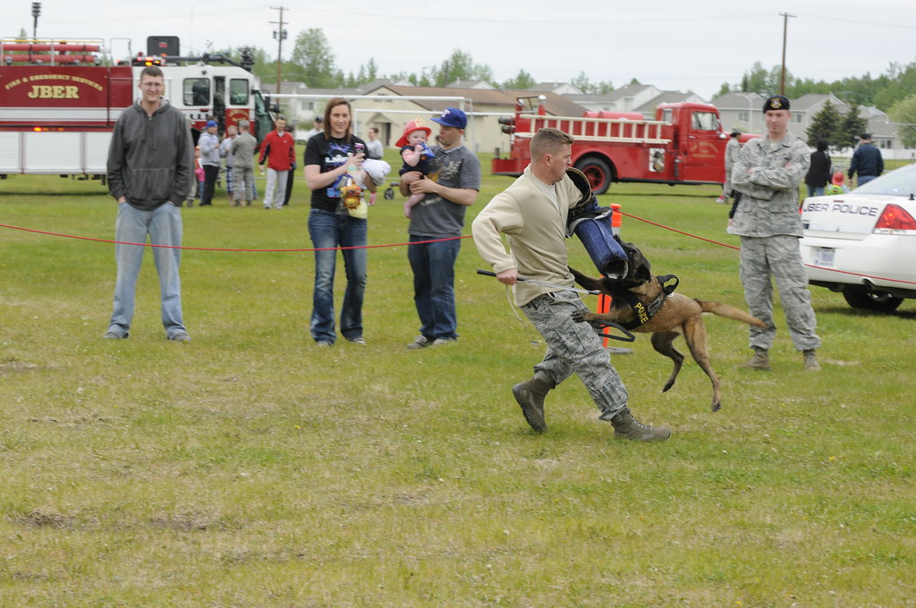 120608FLY131042 JOINT BASE ELMENDORFRICHARDSON,Alaska… Flickr