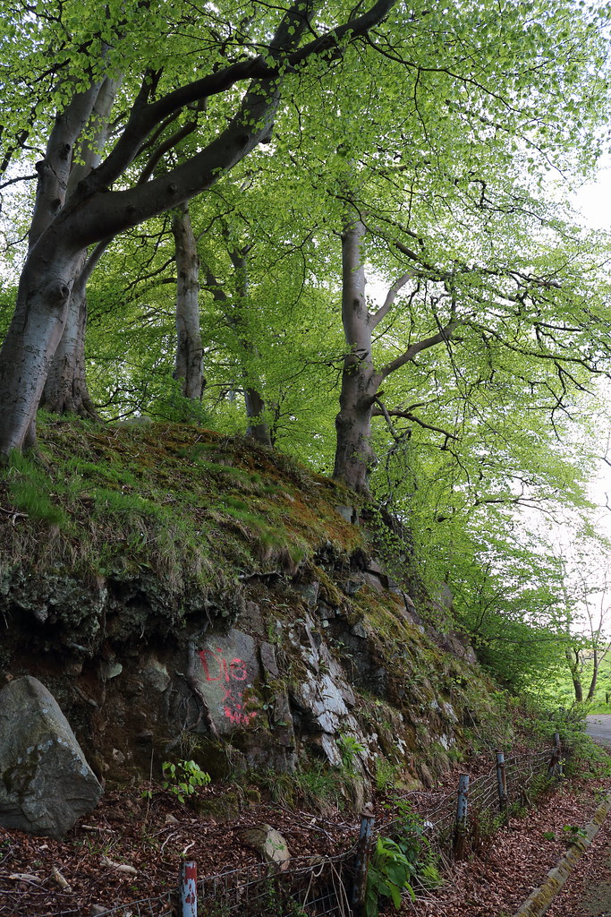 Howes Road,Bucksburn,Aberdeen Alan Longmuir. Flickr