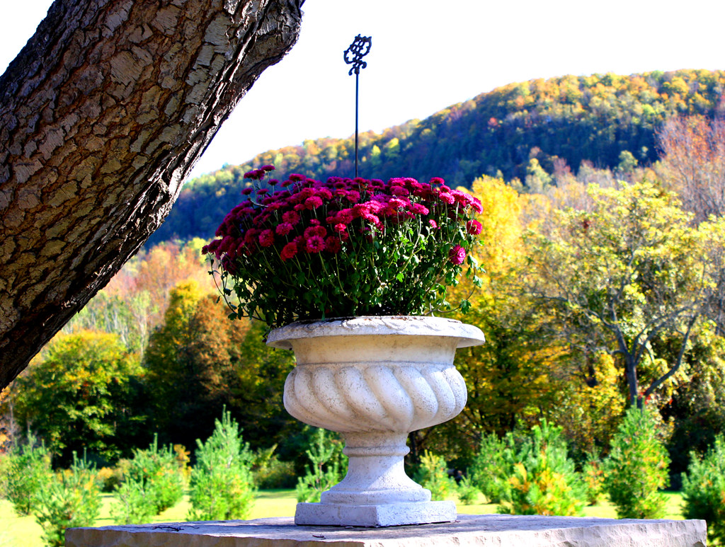 Along scenic Forks of the Credit Road out of Belfountain Flickr