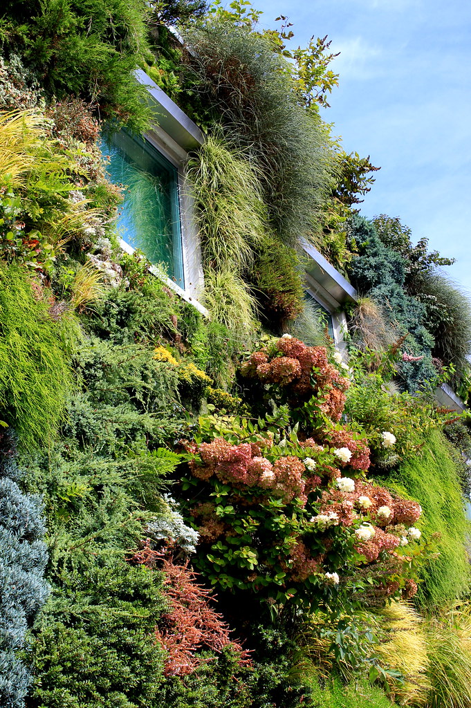 Green Wall at Semiahmoo Library. Surrey, BC it's really qu… Flickr