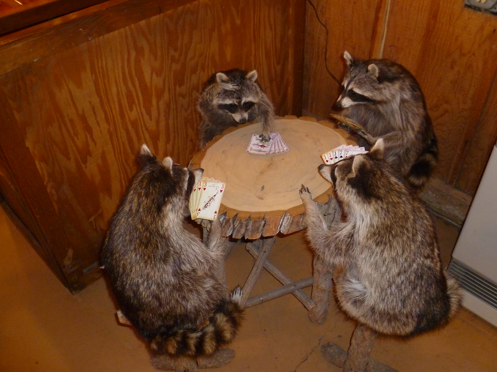 Raccoons playing poker Kanab, Ut. bar Raccoons playing p… Flickr