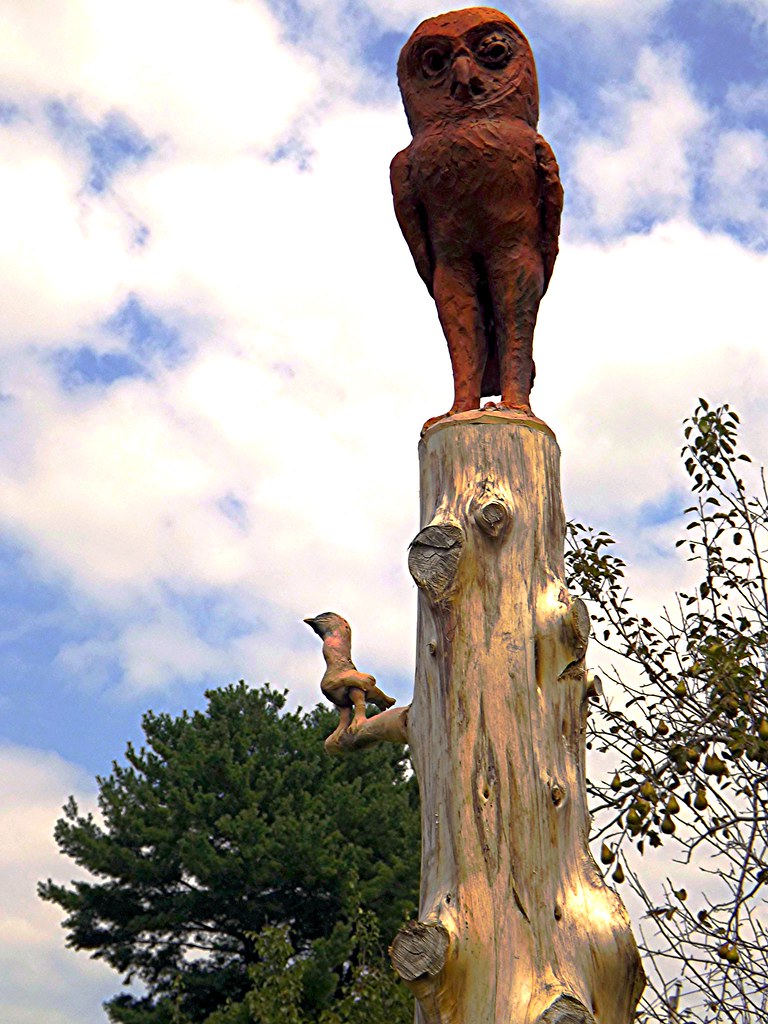 hoot and tweet mindy morris Flickr