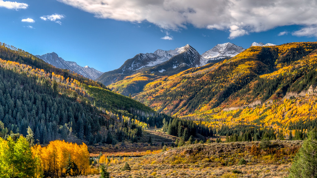 More Colorado Aspens Another shot off hwy 133, South of Ca… Flickr