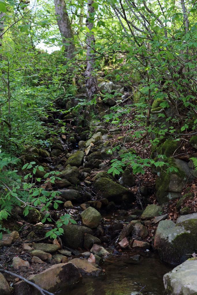 Bucks Burn,Howes Road,Bucksburn,Aberdeen Alan Longmuir. Flickr