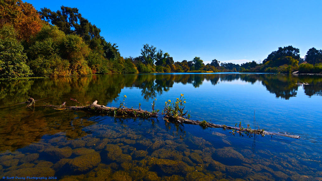 Nature Always Finds A Way Merced River Cressey, California… Flickr