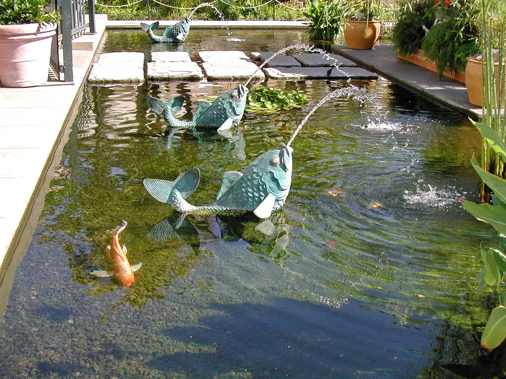 Fashion Island 18 Koi pond at Fashion Island Shopping Cent… Flickr