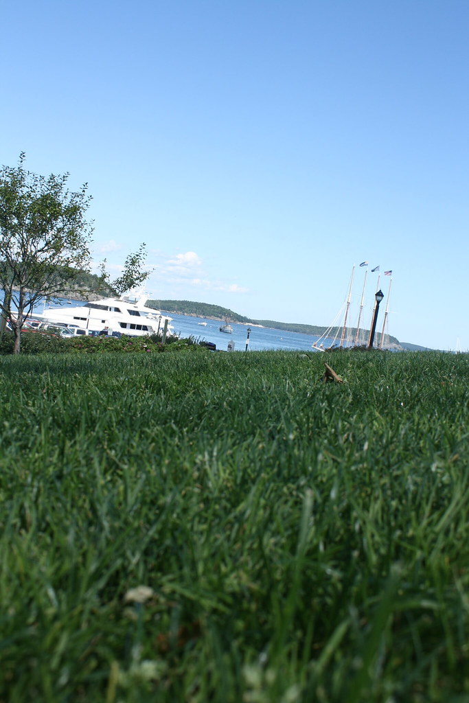 IMG_5897 Brian Grandjean Flickr