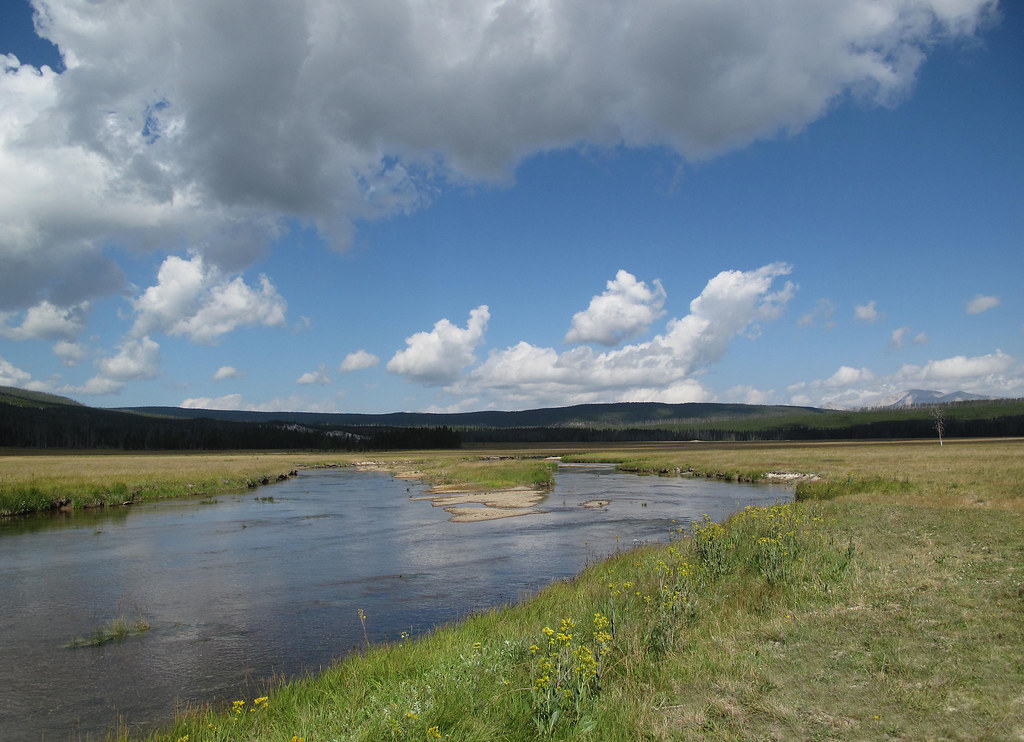 Gibbons Meadows, Yellowstone The Gibbons Creek & Meadows, … Flickr