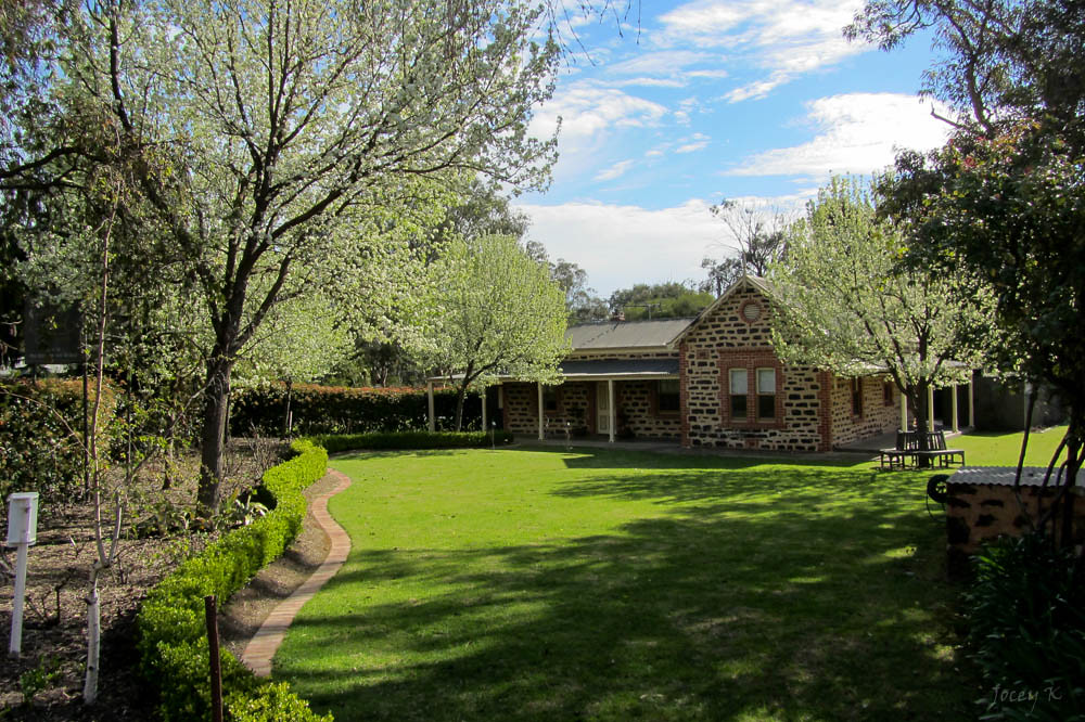 Many Shades of Spring Greens Once we arrived in the Baross… Flickr