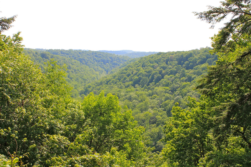Slippery Rock from Cleland Rock Jon Dawson Flickr