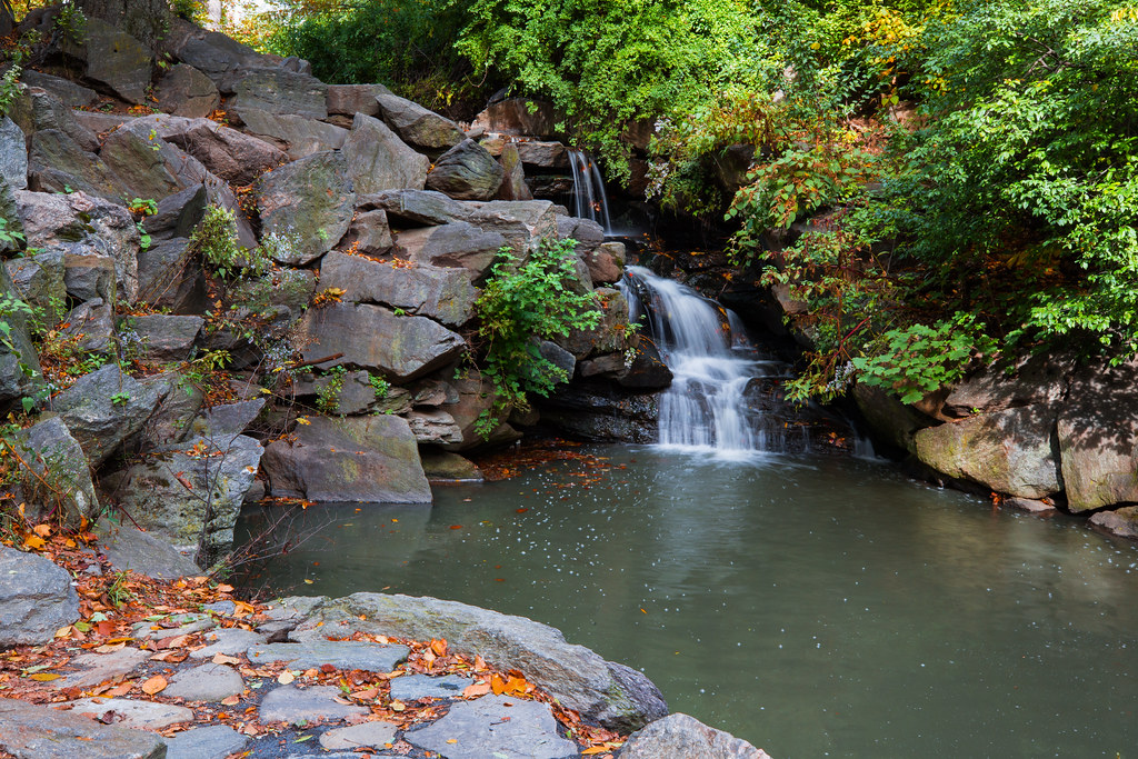 Cascading Waterfall in Central Park The Cascading waterfal… Flickr
