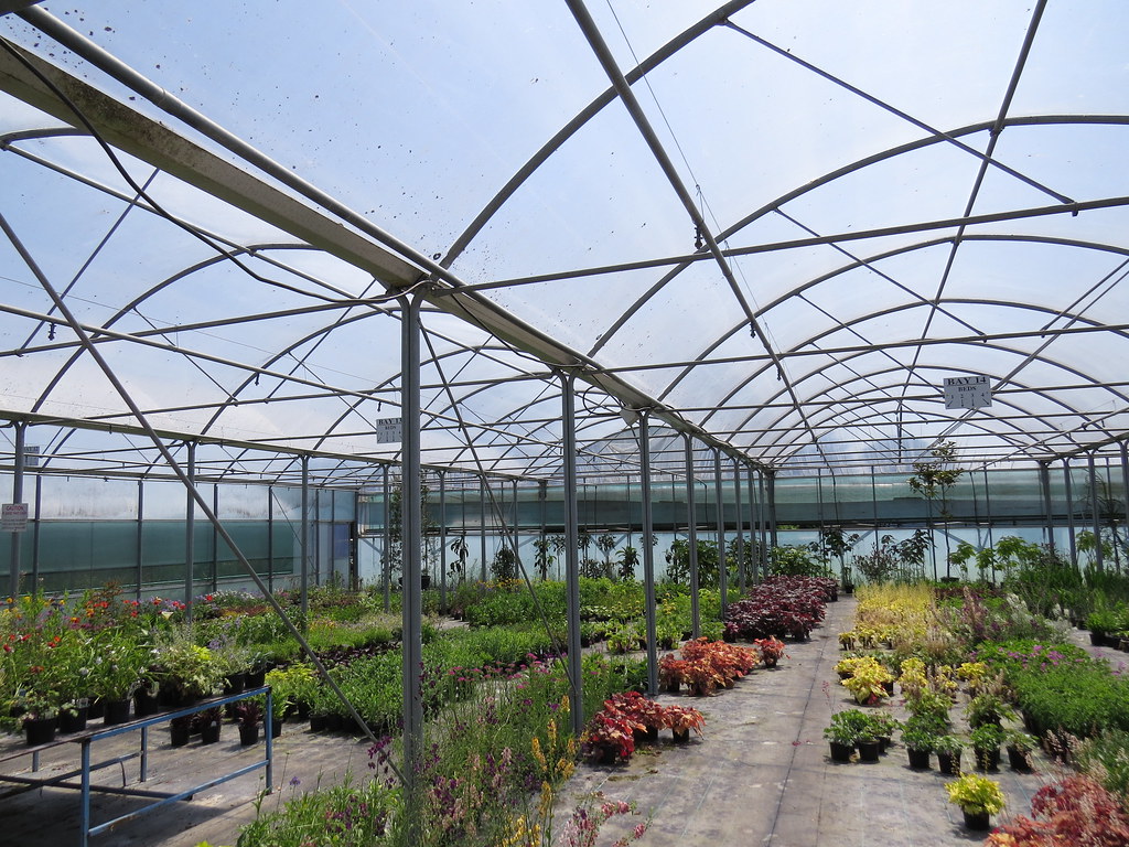 Downside Nurseries, Upper Westwood, BradfordonAvon, Wilt… Flickr