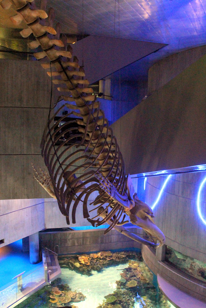 Baltimore National Aquarium a photo on Flickriver