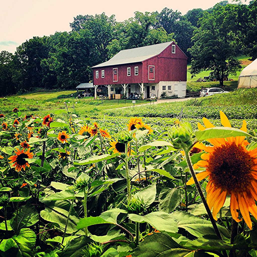 Charlestown Farm Summer of 2013 James Flickr