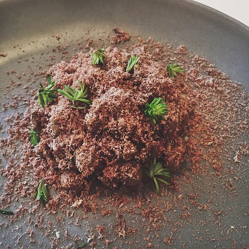 Venison Tartare with porcini mushroom emulsion and fir sho… Flickr