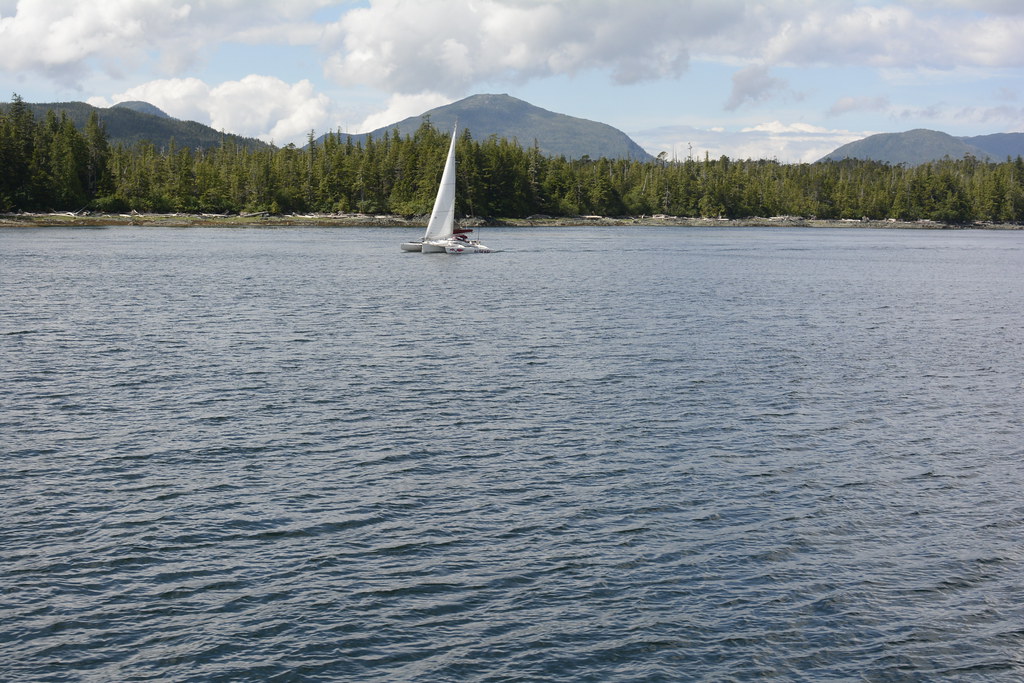 Boat Tour from Island (22) Wally Hurst Flickr