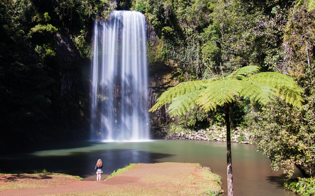 Millaa Millaa Falls The beautiful Millaa Millaa Falls, a p… Flickr