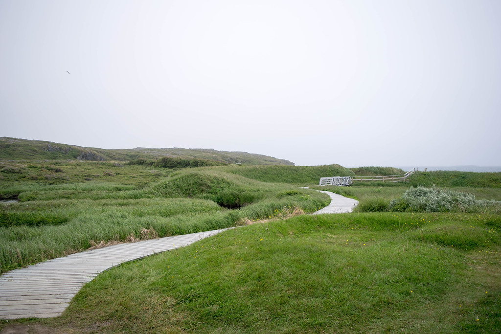 Cape Breton and Newfoundland Flickr